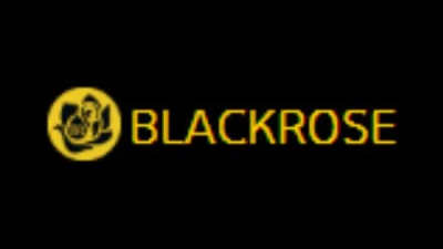 BLACKROSE 블랙로즈 토지노 카지노 사이트 주소